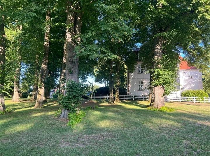Familienfreundliche Ferienwohnung Mit Wintergarten Badow Kültér fotó